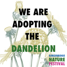 Load image into Gallery viewer, Dandelion Tea
