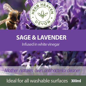 Herb Infused Antibacterial Cleaner-Products and offers