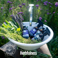 Load image into Gallery viewer, Herb Infused Antibacterial Cleaner-Products and offers
