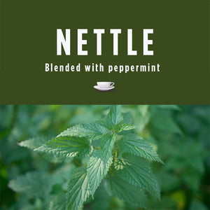 Nettle and Peppermint Tea